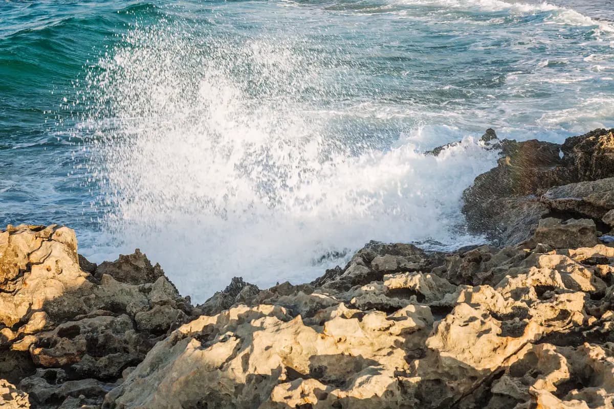 Vague se brisant sur la roche du littoral et projetant des embruns dans le soleil